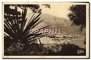 Bild des Verkufers fr Carte Postale Ancienne Cote d'Azur Artistique Monte Carlo Entre les Arbres zum Verkauf von CPAPHIL