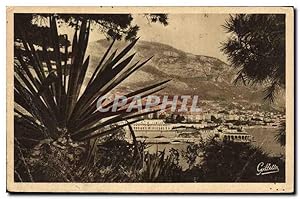 Bild des Verkufers fr Carte Postale Ancienne Monte Carlo Entre Les Arbres zum Verkauf von CPAPHIL