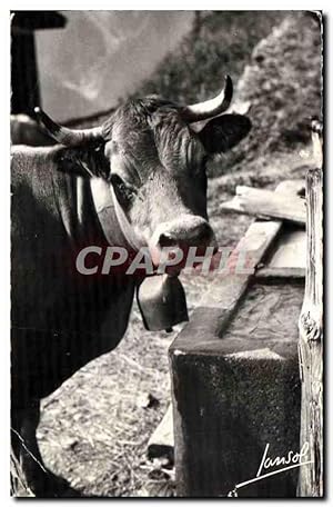 Carte Postale Ancienne Les Animaux de la Montagne Au bachal