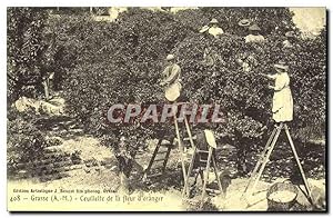 Seller image for Reproduction Grasse A M Ceuillette de la fleur d'oranger for sale by CPAPHIL