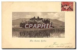Bild des Verkufers fr Carte Postale Ancienne Les Hautes Herbes zum Verkauf von CPAPHIL