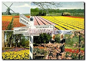 Carte Postale Moderne Holland en Bloementooi