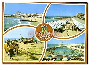 Immagine del venditore per Carte Postale Moderne Espinho Portugal Motivos Turisticos Diversos Divers Motifs Touristiques B?ufs Piscine venduto da CPAPHIL