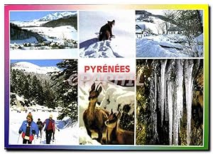 Carte Postale Moderne Les Pyrenees Divers aspects Ours Chamois