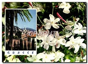Imagen del vendedor de Carte Postale Moderne Cote d'Azur Carrefour Mondial du tourisme Grasse Cite des Fleurs et des Parfumes le jasmine a la venta por CPAPHIL
