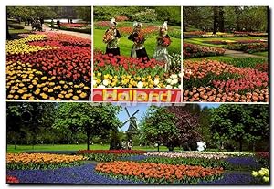 Carte Postale Moderne La Hollande en parute des fleurs