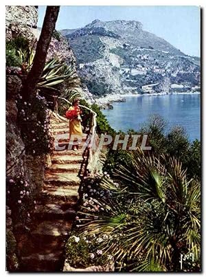 Bild des Verkufers fr Carte Postale Moderne La Cote d'Azur Miracle de la Nature zum Verkauf von CPAPHIL