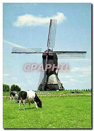 Carte Postale Moderne Holland Moulin a Vent