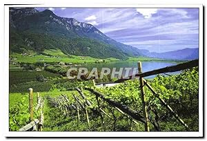 Bild des Verkufers fr Carte Postale Moderne Italie Vignoble de Haut Adige entre montagne et le lac de Caldaro zum Verkauf von CPAPHIL