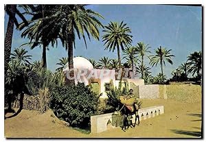 Bild des Verkufers fr Carte Postale Moderne Gabes Oasis Die Oase zum Verkauf von CPAPHIL