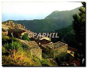 Bild des Verkufers fr Carte Postale Moderne La Cote d'Azur miracle de la nature Sainte Agnes AM zum Verkauf von CPAPHIL