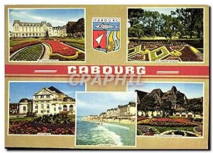 Immagine del venditore per Carte Postale Moderne La Cote Fleurie Cabourg Calvados la plage des fleurs venduto da CPAPHIL