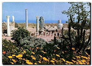 Carte Postale Moderne Carthage Tunisie l'Antiquarium