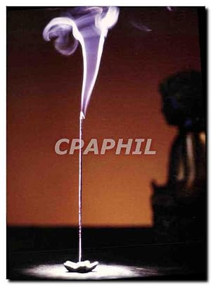 Bild des Verkufers fr Carte Postale Moderne Le Zen Bruce Fleming zum Verkauf von CPAPHIL