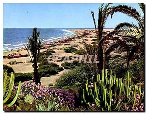 Seller image for Carte Postale Moderne Gran Canaria Playa del Ingles for sale by CPAPHIL