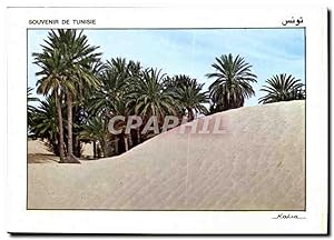 Carte Postale Moderne Souvenir de Tunisie
