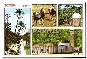 Carte Postale Moderne Tunisie Oasis de Tozeur