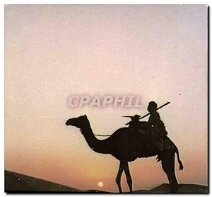 Carte Postale Moderne Sud Tunisien chamelier au coucher du soleil Chameau