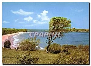 Carte Postale Moderne Martinique le Sud de l'île Plage des Solines et îlet Cabrits