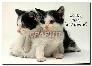 Seller image for Carte Postale Moderne Chiots et Chatons for sale by CPAPHIL