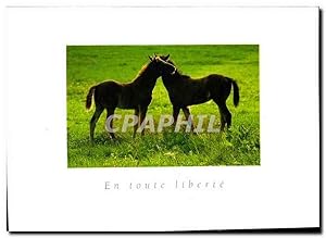 Image du vendeur pour Carte Postale Moderne En Toute Libert Chevaux mis en vente par CPAPHIL