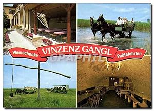 Carte Postale Moderne Weinschenke Vinzenz Gangl Illmitz Burgenland Austria