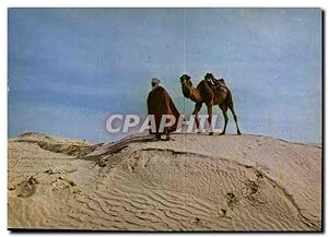 Carte Postale Moderne Sud Tunisien Chamelier sur la dune