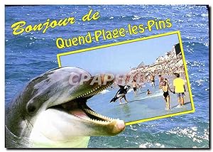 Image du vendeur pour Carte Postale Moderne La Cote d'Opale Quend plage les pins la plage et le front de mer Dauphin mis en vente par CPAPHIL