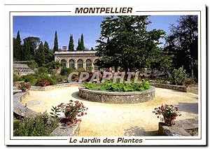 Carte Postale Moderne Montpellier Le Jardin des Plantes