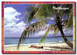 Carte Postale Moderne Martinique Plage des Salines