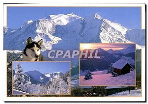 Imagen del vendedor de Carte Postale Moderne Albertville chien Husky a la venta por CPAPHIL
