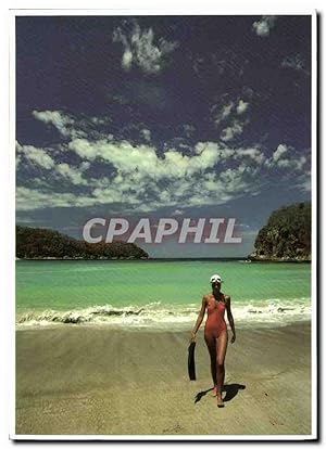 Imagen del vendedor de Carte Postale Moderne Vive les vacances a la venta por CPAPHIL