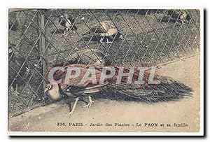 Bild des Verkufers fr Paris Jardin des Plantes Le Paon et sa famille Carte Postale Ancienne zum Verkauf von CPAPHIL