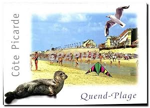 Bild des Verkufers fr Carte Postale Moderne Quend Plage les Pins Somme Cote Picarde la Plage Phoque Mouette Cerf Volant zum Verkauf von CPAPHIL