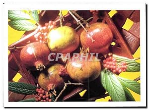 Seller image for Carte Postale Moderne Fruits for sale by CPAPHIL