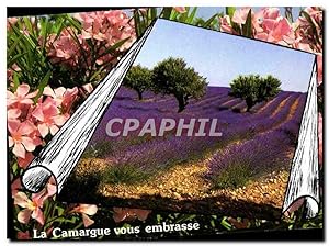 Seller image for Carte Postale Moderne La Camargue vous embrasse for sale by CPAPHIL