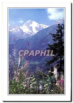 Carte Postale Moderne Purete et Splenduer des Alpes