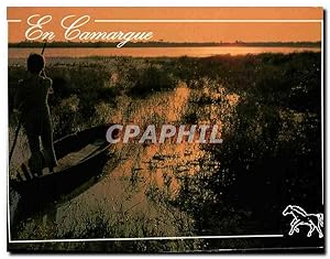 Seller image for Carte Postale Moderne En Camargue l'Etang de Vaccares for sale by CPAPHIL