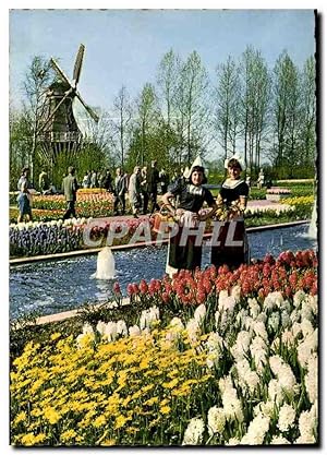 Bild des Verkufers fr Carte Postale Moderne La Hollande en Parure des Fleurs zum Verkauf von CPAPHIL