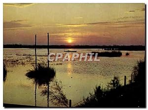 Seller image for Carte Postale Moderne Coucher de Soleil sur la Camargue for sale by CPAPHIL