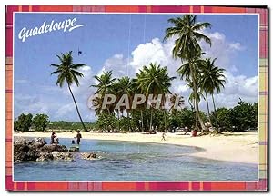 Carte Postale Moderne Les Productions de l'île Guadeloupe