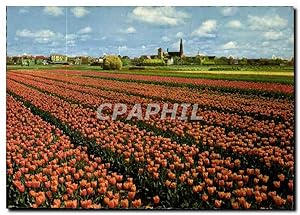 Image du vendeur pour Carte Postale Moderne La Hollande en Parure des Fleurs mis en vente par CPAPHIL