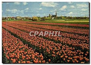 Bild des Verkufers fr Carte Postale Moderne La Hollande en Parure des Fleurs zum Verkauf von CPAPHIL