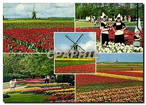 Bild des Verkufers fr Carte Postale Moderne La Holland en Parure des Fleurs zum Verkauf von CPAPHIL