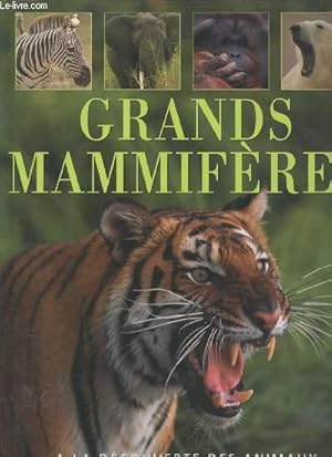 Bild des Verkufers fr A la dcouverte des animaux - Grands mammifres - zum Verkauf von Le-Livre