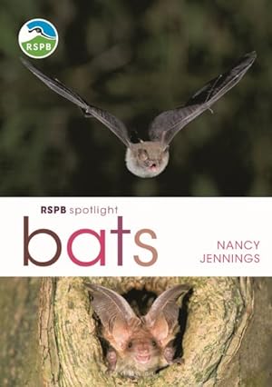 Seller image for Bats for sale by GreatBookPrices