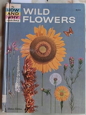 Bild des Verkufers fr The How and Why Wonder Book of Wild Flowers zum Verkauf von Laura Books
