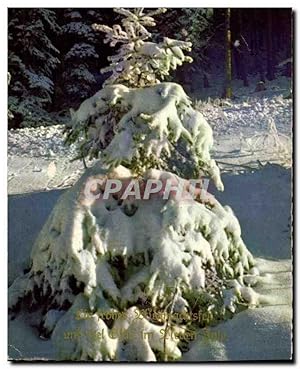 Image du vendeur pour Carte Postale Moderne Sapin sous la neige mis en vente par CPAPHIL