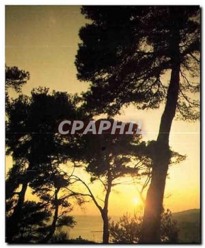 Bild des Verkufers fr Carte Postale Moderne Nature Que tu es Belle zum Verkauf von CPAPHIL