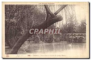 Immagine del venditore per Carte Postale Ancienne Tarbes Piece d'eau et Clotre du Jardin Massey venduto da CPAPHIL